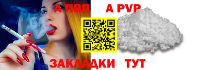 шишки Кингисепп
