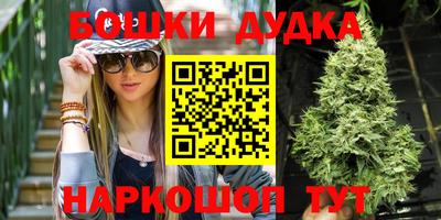 шишки Кингисепп