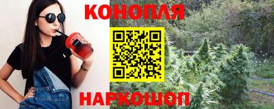 шишки Кингисепп