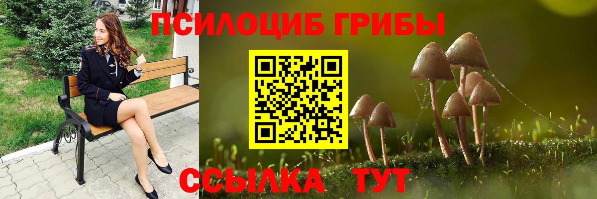 Псилоцибиновые грибы прущие грибы Еманжелинск